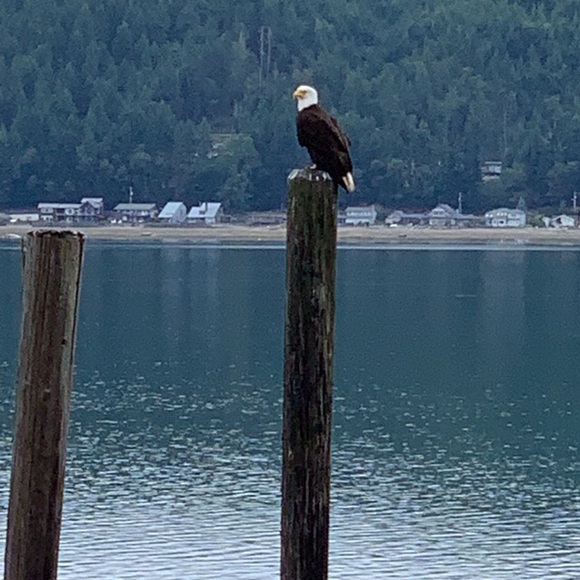 Meet your Posher, Jenna - Picture 1 of 1